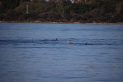 IMG_1214-scaled