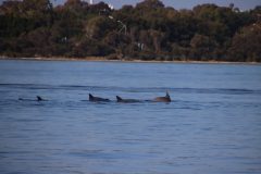 IMG_1253-scaled