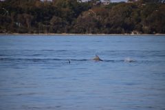 IMG_1275-scaled