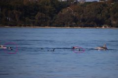 IMG_1281-scaled