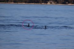 IMG_1307-scaled