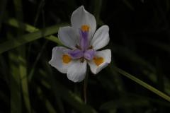 IMG_3387-1024x768-1
