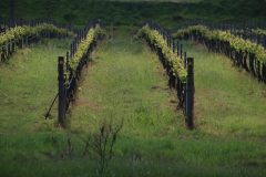 IMG_3417-scaled