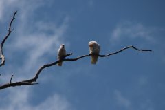 IMG_3428-scaled