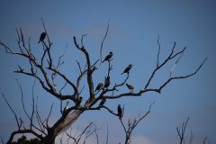 IMG_3500-scaled