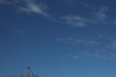 IMG_5610-scaled