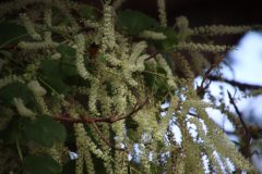 IMG_5646-scaled