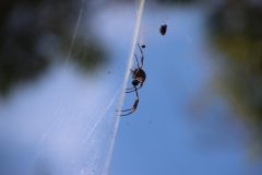 IMG_5701-scaled