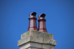 IMG_5796-scaled