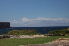 IMG_5803-scaled