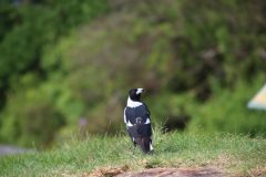 IMG_5818-scaled