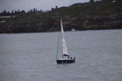 IMG_5903-scaled