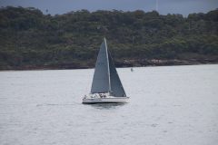 IMG_5958-scaled