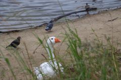 IMG_5977-scaled