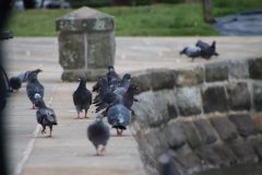 IMG_6046-scaled
