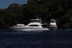 IMG_0917-1024x682