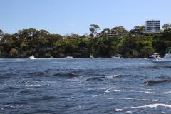 IMG_0930-1024x682