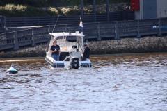 IMG_0943-1024x682