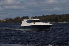 IMG_0977-1024x682