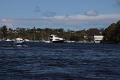 IMG_1019-1024x682