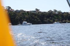 IMG_1150-1024x682