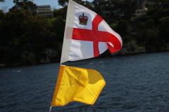 IMG_1173-1024x682