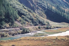 33AA001A