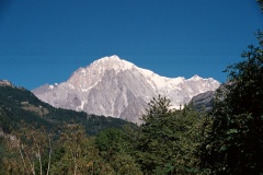 33AA017A