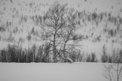 IMG_6737