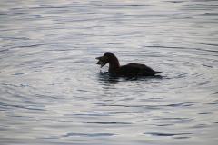 IMG_6868
