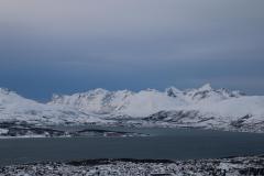 IMG_7039