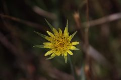 IMG_5684-scaled