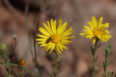 IMG_5693-scaled