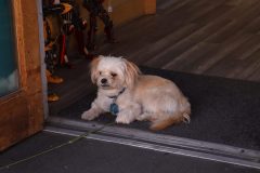 IMG_5783-scaled