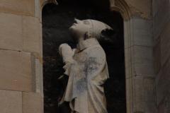 IMG_6179