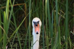 IMG_7246