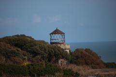 IMG_6775
