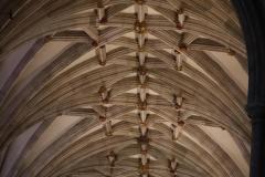 IMG_6805