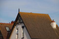 IMG_6867
