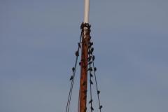 IMG_6881