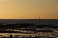 IMG_6967