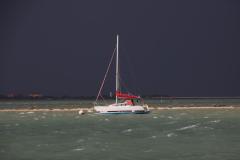 IMG_7447