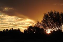 DSCN1705-1024x768