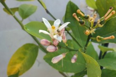 1_2020-10-25-14.19.33