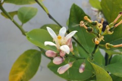 1_2020-10-25-14.19.35