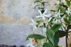 1_2020-10-25-14.19.50