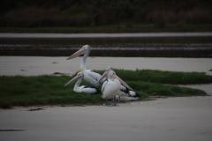 IMG_6437-1024x682