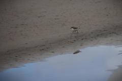 IMG_6439-1024x682