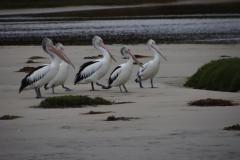 IMG_6458-1024x682