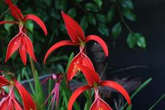 IMG_6598-1024x682